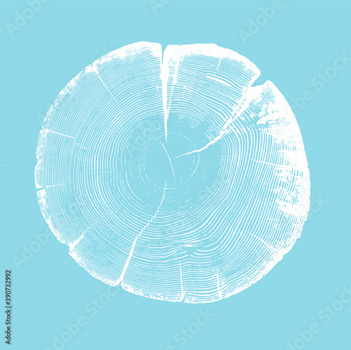 Wood tree art texture stamp for card or background. Detailed tree ring design. Rough organic tree rings with close up of end grain.

