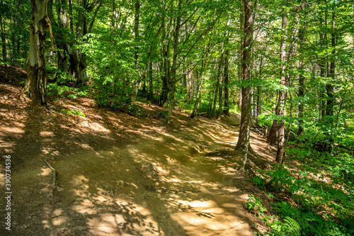 Fototapeta Naklejka Na Ścianę i Meble -  bieszczady przepiękny widok góry, koniec świata, natura raj na ziemi