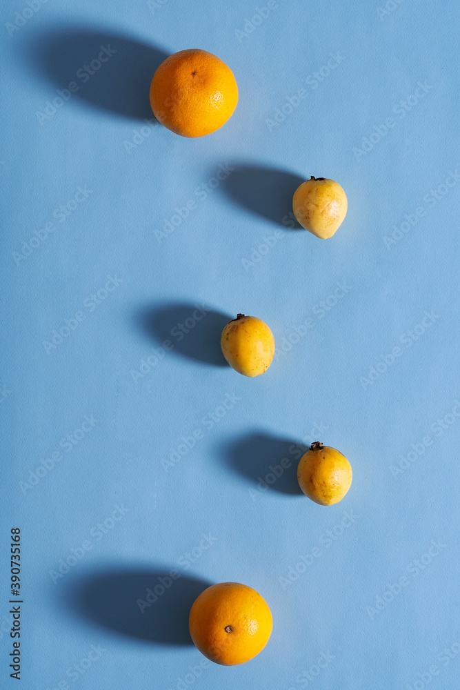 Citric fruits such as oranges and guava in a blue background reflecting shadows