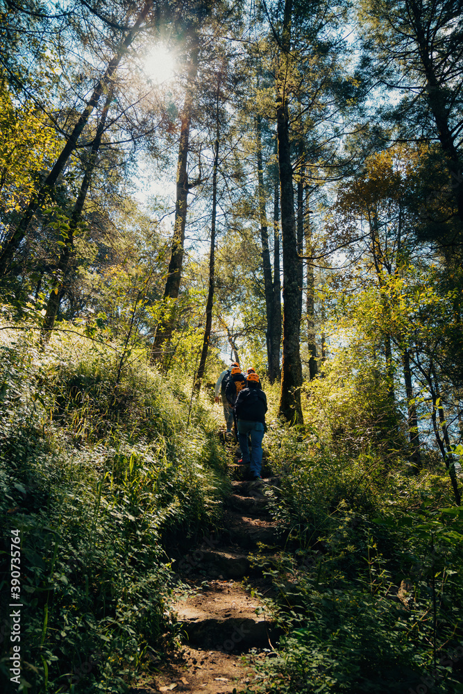 Man hiking in the woods monte Man hiking in the woods monte