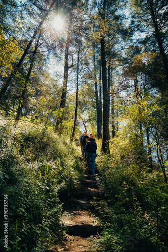 Man hiking in the woods monte