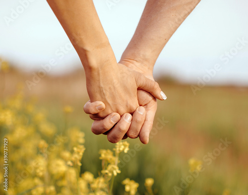 Couple hold hands in green field on sunset. Couple in love.   © Erika