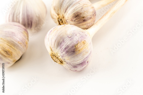 garlic large autumn harvest close-up on a white isolated background