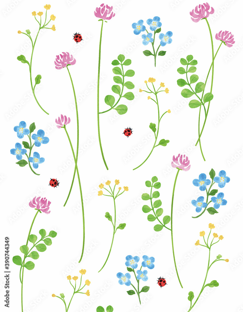 れんげ草の手描きイラスト 春の草花 シームレス Stock Vektorgrafik Adobe Stock