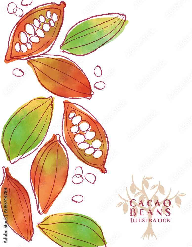 カカオ豆の水彩イラスト 手描き Stock ベクター Adobe Stock