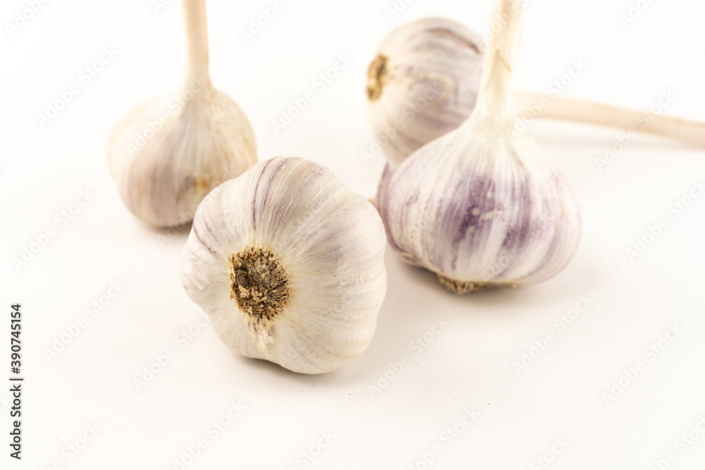 Obraz premium white garlic root group traditional vegetable for making sauces