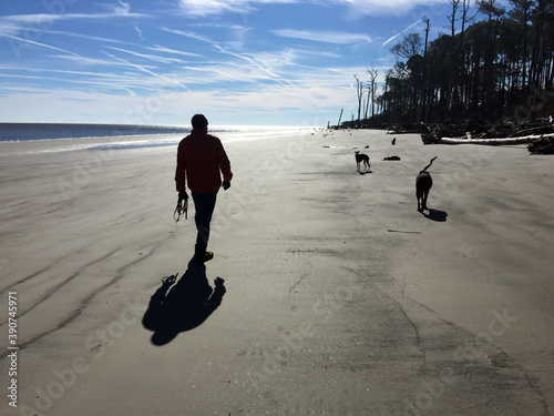 Photography person walking on the beach with off leash dogs