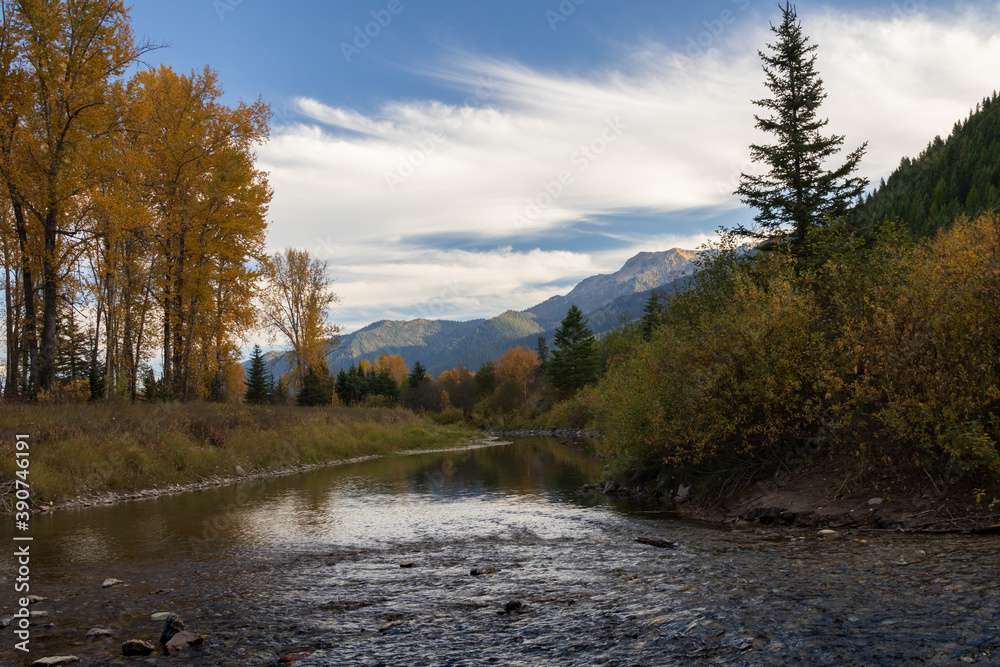 Middle Fork Flathead River flowing through forest and mountain background, Montana Middle Fork Flathead River flowing through forest and mountain background, Montana