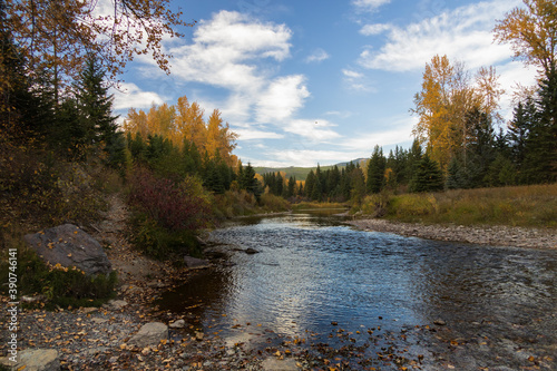 Middle Fork Flathead River flowing through forest and mountain background, Montana