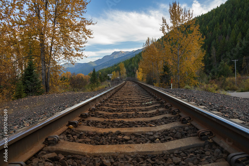 Railroad Tracks thru the Forest with mountain background
 photo