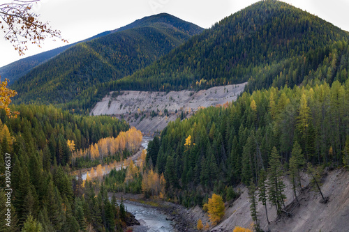 Middle Fork Flathead River flowing through forest, Montana