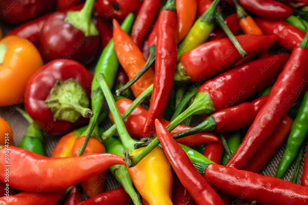 closeup chili pepper bright and sharp red and orange background