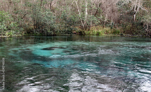 Florida springs 