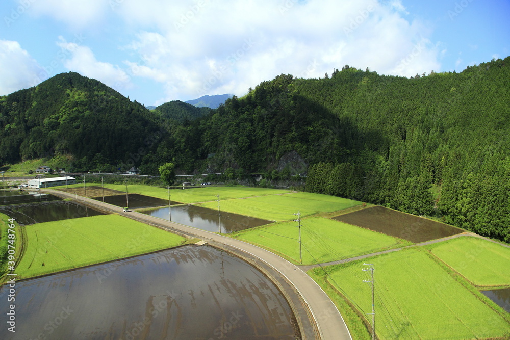 Fototapeta premium travel in Japan