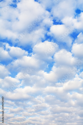 Fototapeta Naklejka Na Ścianę i Meble -  White cumulus clouds on blue sky background close up, fluffy cirrus cloud texture, beautiful cloudscape view, heaven on sunny summer day, cloudy weather, cloudiness backdrop, azure skies, ozone layer