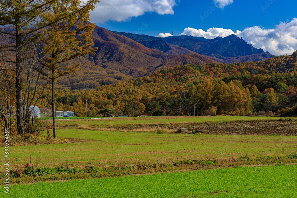 Fototapeta premium 長野県・秋の川上村の風景 9