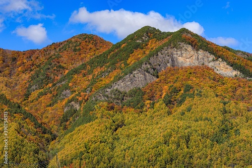 長野県・秋の川上村の風景 3