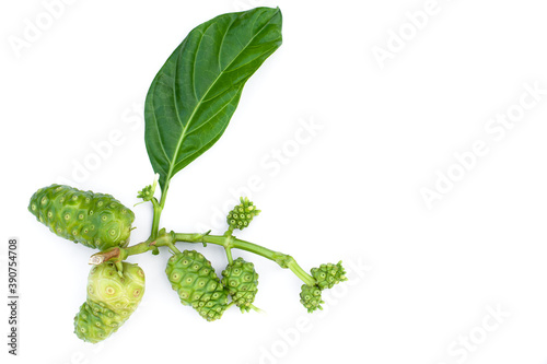 Noni fruits with green leaf isolated on white background. Top view.