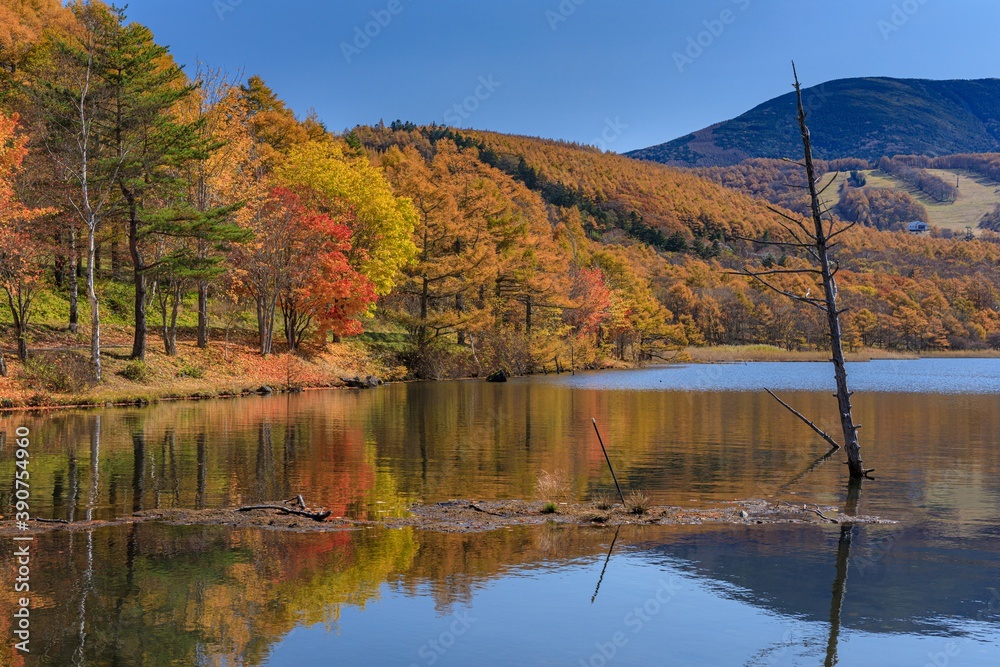 長野県・秋の女神湖の風景 16