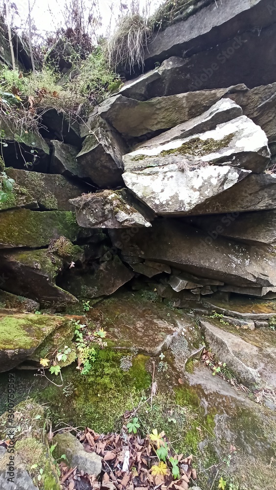 Obraz premium stream in the mountains