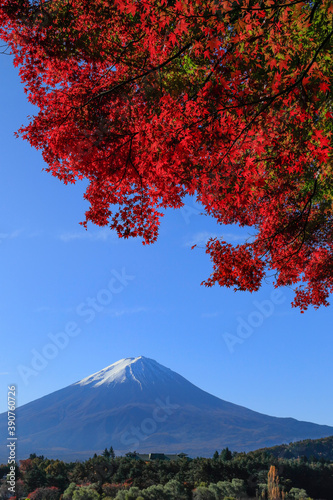 富士山と紅葉 河口湖畔