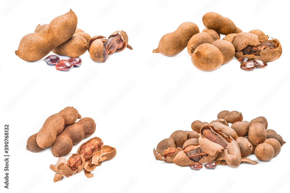 Collage of Tamarindus indica isolated on a white cutout Collage of Tamarindus indica isolated on a white cutout