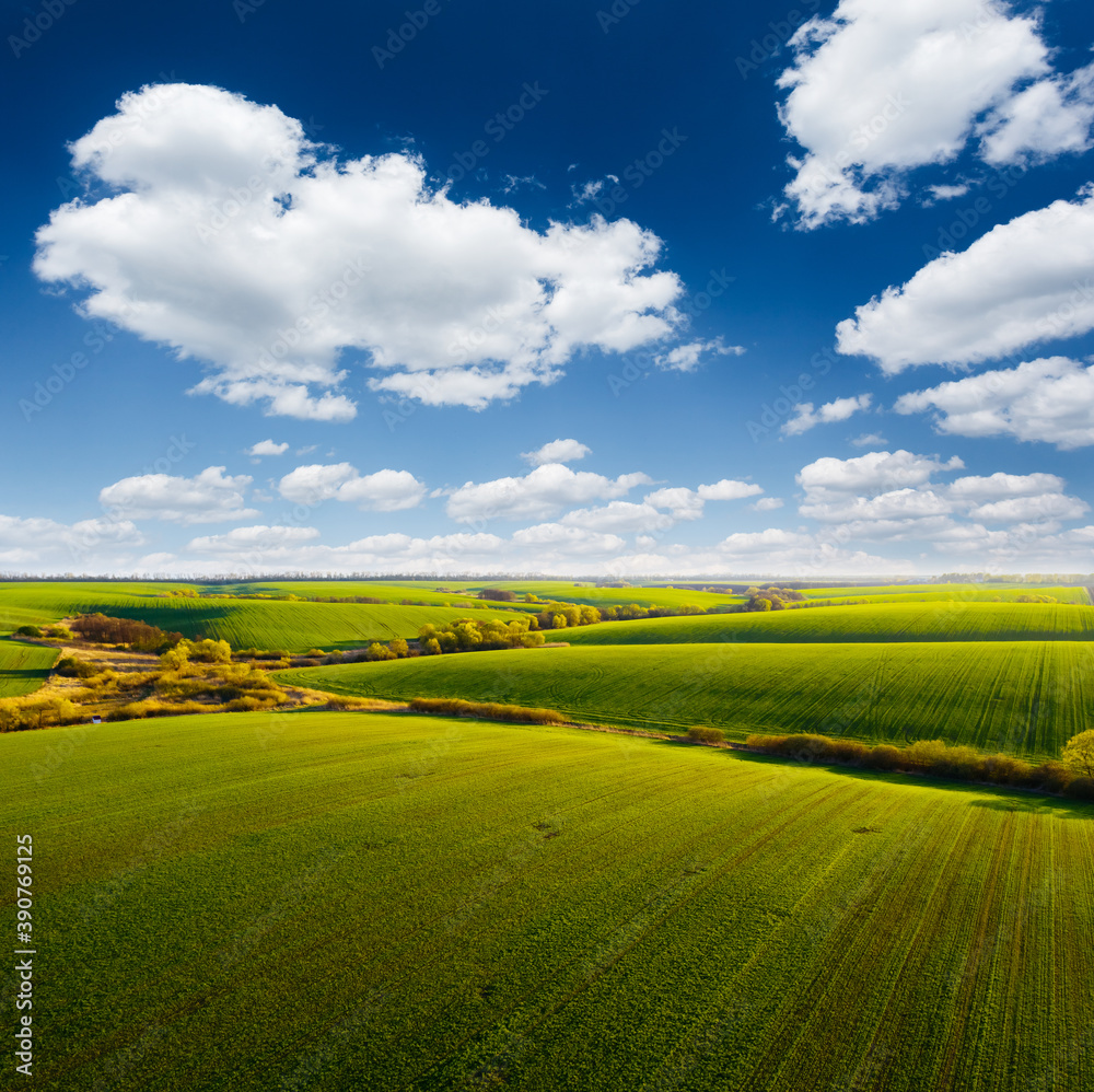 Fototapeta premium Splendid aerial photography of green wavy field in sunny day. Top view drone shot.