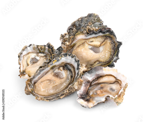 oysters an isolated on white background.