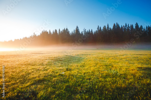 Misty morning pasture in the sunlight. Locations place Durmitor National park, Montenegro.