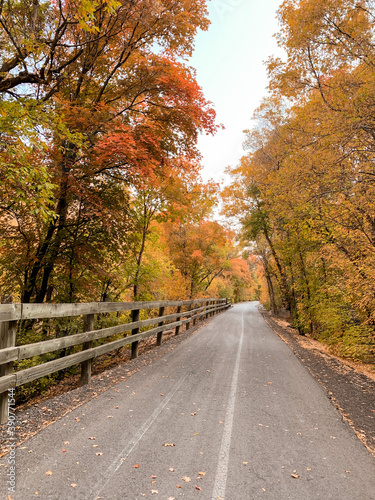 autumn in the park