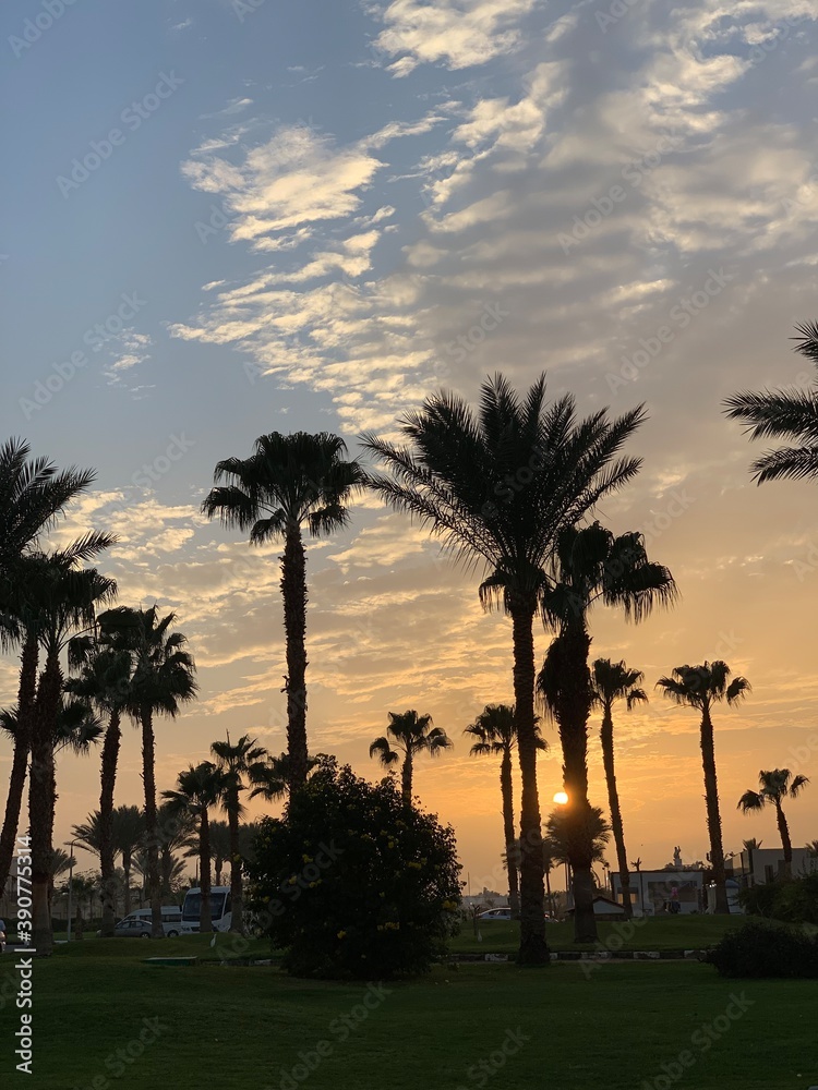 sunset on the beach