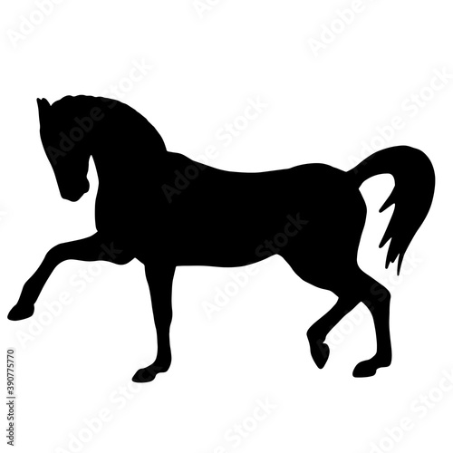 Icon of black silhouette of horse. Nice domestic animal