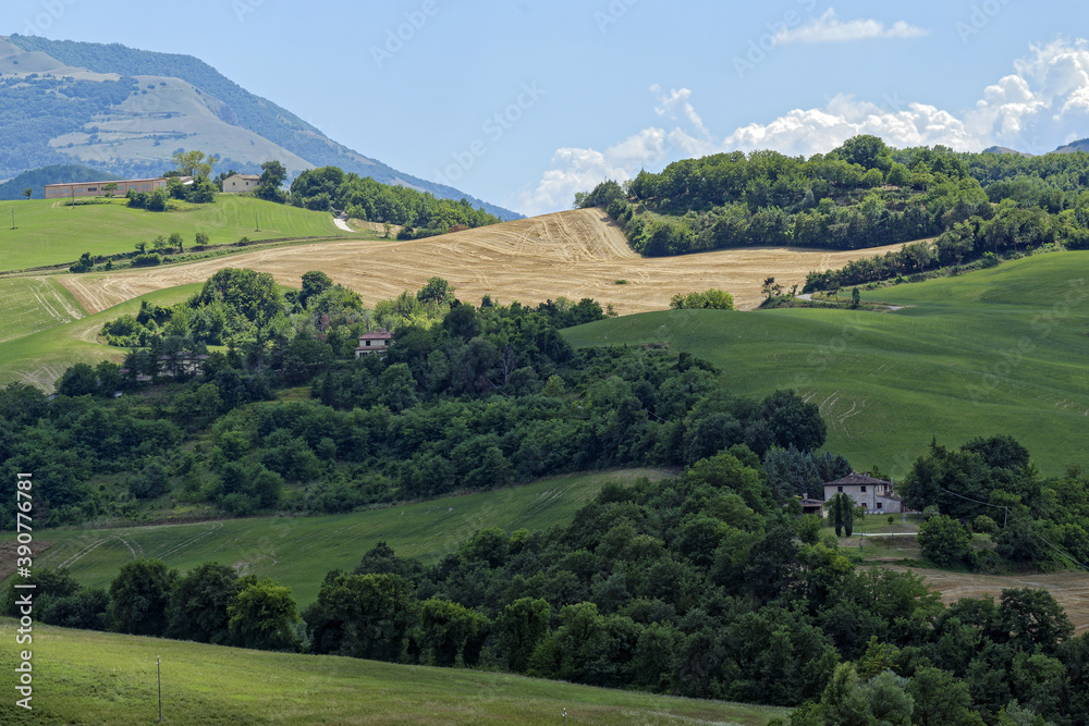 Paysage d'été dans la région des Marches en Italie