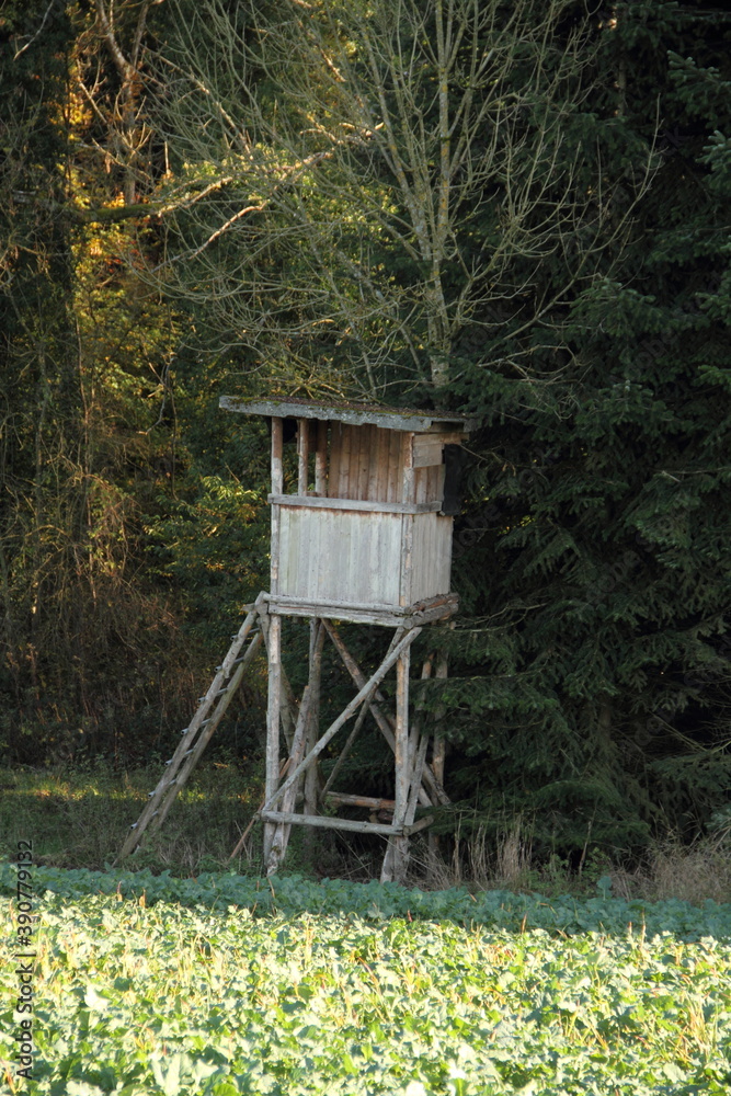 a new high seat in a field
