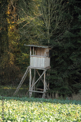 a new high seat in a field  © maho