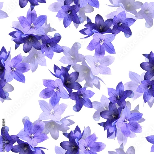 Light and dark purple campanula flowers on white background. Seamless pattern with bellflowers. Print for fabric  wallpaper