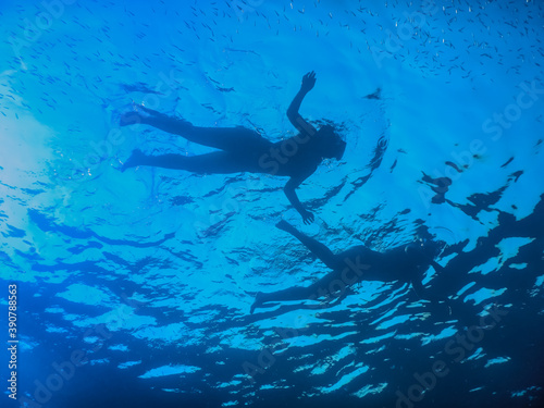 two swimming women in the blue sea
