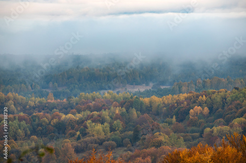 Fog in the forest at autumn