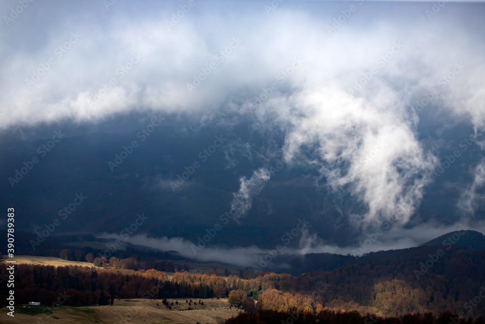 Fototapeta premium Foggy forest background in autumn