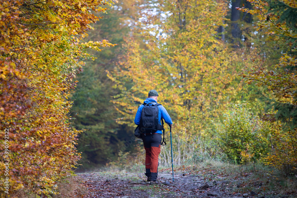 Man trekking in high autumn mountains with his dog Man trekking in high autumn mountains with his dog