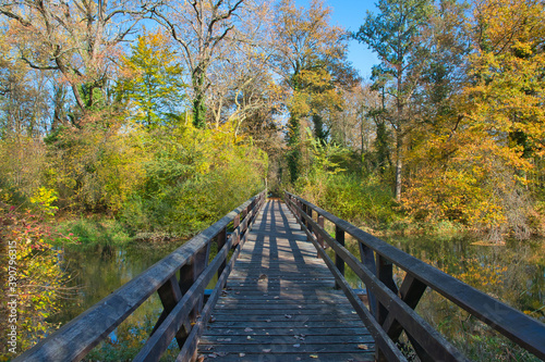 Spätherbst im Naturschutzgebiet Taubergiessen in der Ortenau