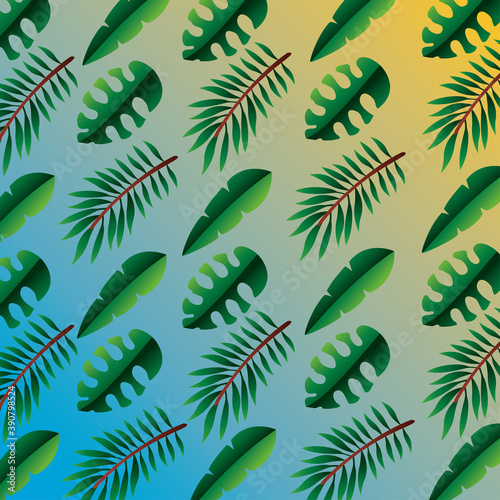 hello summer season with leafs palms pattern background photo