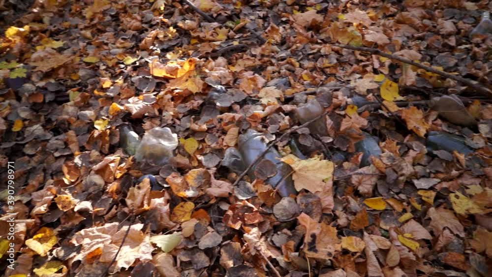 Garbage, plastic bags, plastic bottles lying on the grass, in nature, garbage and nature, nature pollution Garbage, plastic bags, plastic bottles lying on the grass, in nature, garbage and nature, nature pollution
