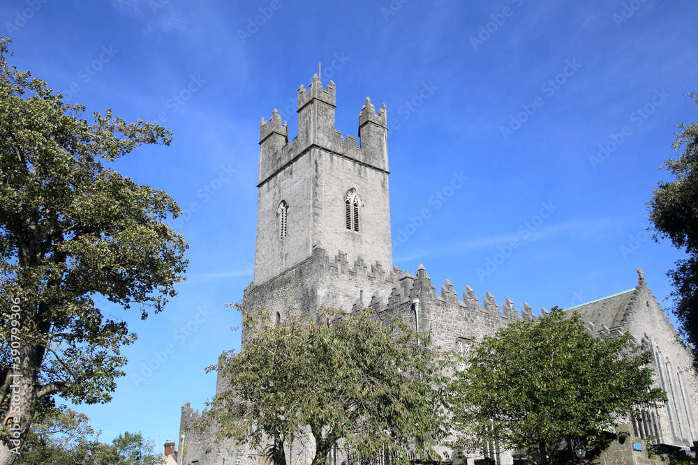 Fototapeta premium Saint Mary's Cathedral of Limerick, Ireland