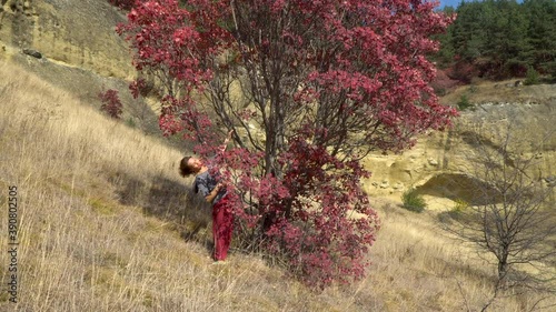 A girl in burgundy trousers near a tree with burgundy foliage on a sunny autumn day