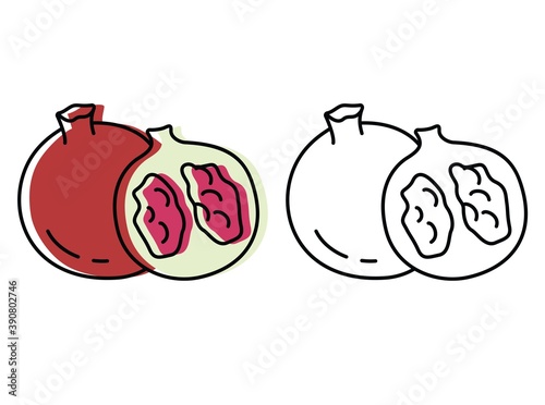 Natural fruits grown on a farm. eco products. vector garnet icons in flat style