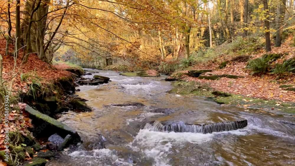 river in autumn