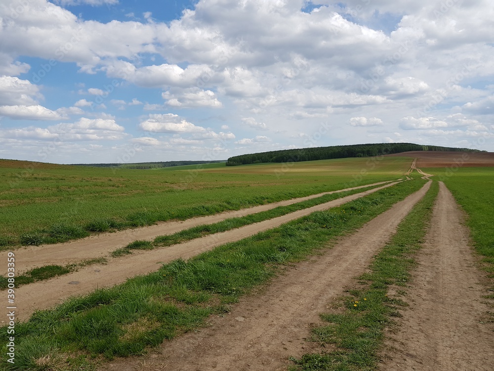 Country road in a green field