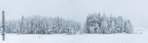 Snowing, Yellowstone National Park, Unesco World Heritage Site, Wyoming, Usa, America