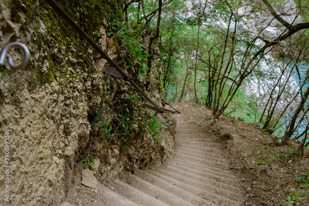 Obraz premium stairway in the mountains and the forest